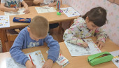 Фрагмент занятия по развитию речи на тему "Домашние птицы"