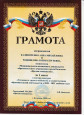Участие в профессиональных конкурсах ДОО