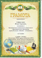 Участие в профессиональных конкурсах ДОО