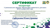 Транслирование в педагогических коллективах опыта практических результатов своей профессиональной деятельности