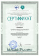 Мои достижения 2023-2024