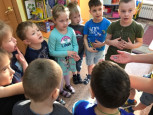 Экспериментирование