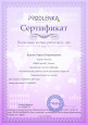 Участие в семинарах, вебинарах, конференциях ( сертификаты).