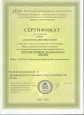 Куратор детского творчества