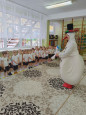 Всемирный день снеговика