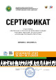 Профессионально-общественная активность 
