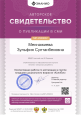 Публикации в сборниках и на сайтах