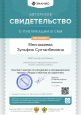 Публикации в сборниках и на сайтах