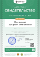 Публикации в сборниках и на сайтах
