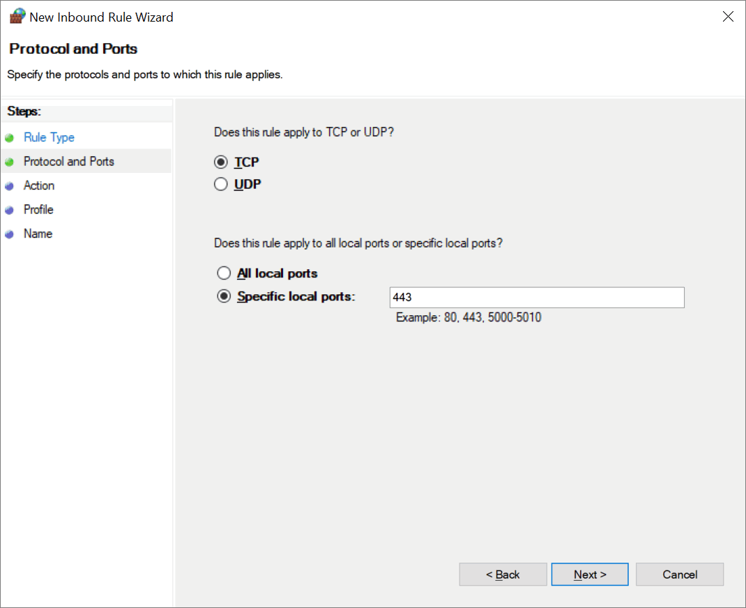 Firewall Exceptions Protocols and Ports