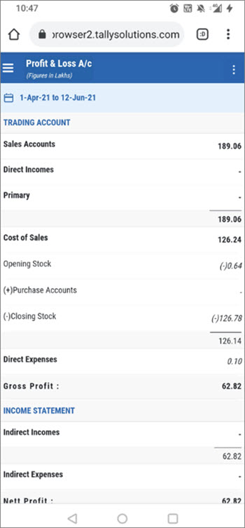 Profit & Loss After Applying Scale Factor in Browser