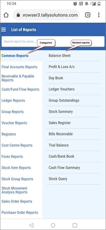 Categories and Related Reports in Tally Reports in Browsers (Mobile-Responsive Design)