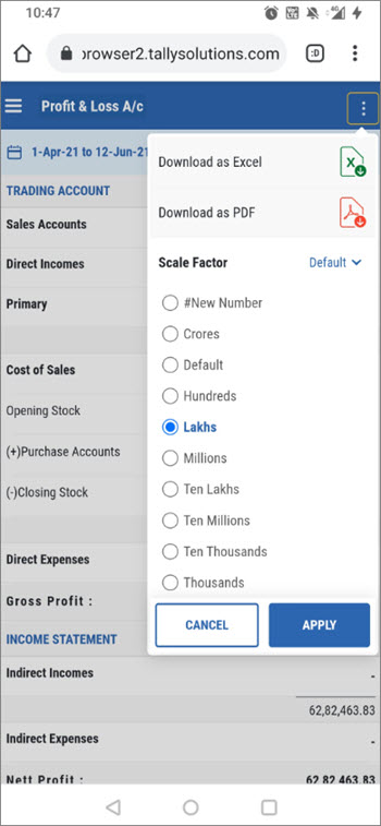 Apply Scale Factor While Viewing TallyPrime Reports in Browsers