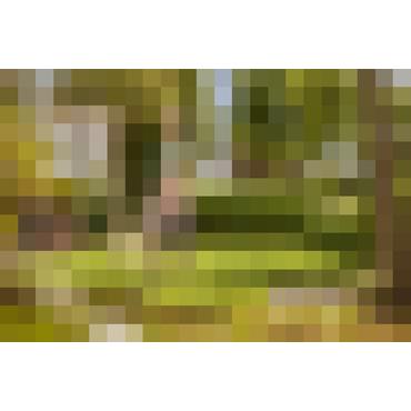 Gardena Liano Life - slange - 30 m