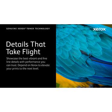 Xerox WorkCentre 6515 - cyan - original - tonerpatron