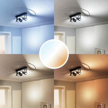 Trust Smart Home - LED-spot lyspære - GU10 - hvidt lys - 1800-6500 K - hvid (pakke med 2)