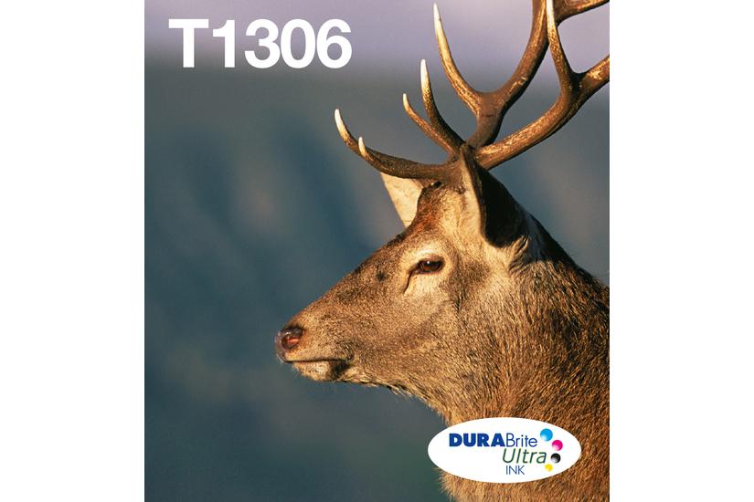 Epson T1306 Multipack Easy Mail Packaging - 3-pack - gul, cyan, magenta - original - bläckpatron