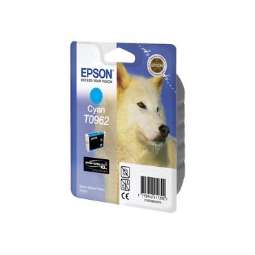 Epson T0962
