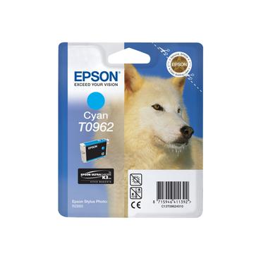 Epson T0962