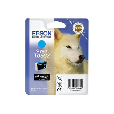 Epson T0962