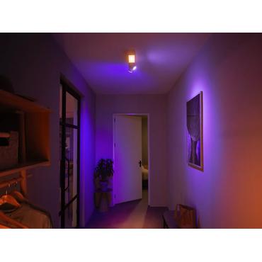 Philips Hue White & Col. Amb. Centris Spot 2 flg. weiÃ V2