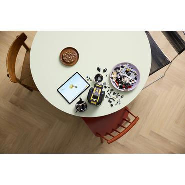 LEGO Ideas 21349 Czarno-biały kot