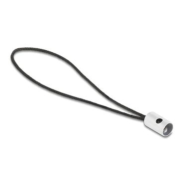 Delock - USB typ C-adapter - 24 pin USB-C till Lightning