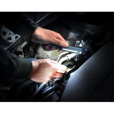 Everactive WL200 lommelygte Sort Klip lommelygte COB LED