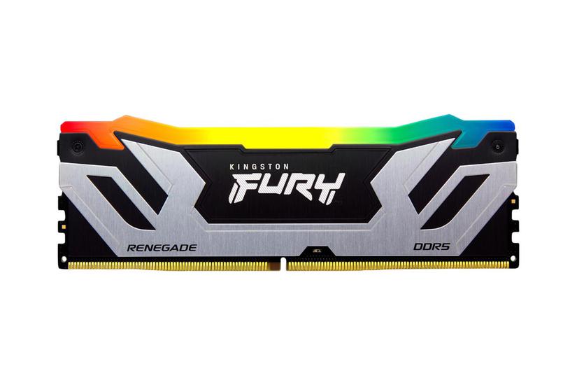 Kingston Technology Fury 24 Gb 8800 Mt/s Ddr5 Cl42 Dimm Renegade Rgb Sølv