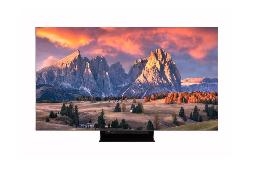 LG UltraFine 65EP5G-B 65" OLED-skärm - 4K - för digital skyltning