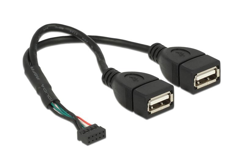 Delock - USB intern till extern kabel - 10 stift USB-samling till USB - 20 cm