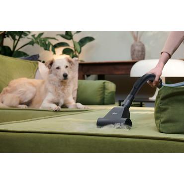 Hoover HP210P 011 2,5 L Beholder vakuum Dry 800 W Poseløs