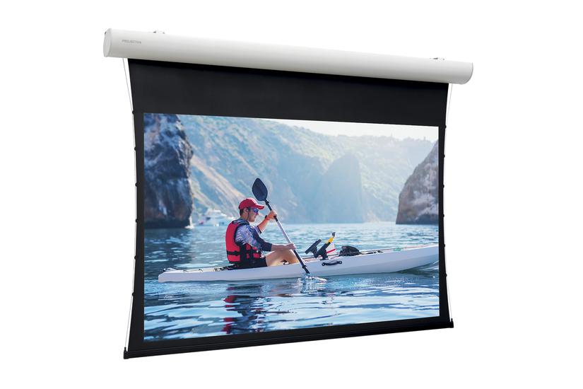 Projecta Elpro Concept RF 156x250 Matte