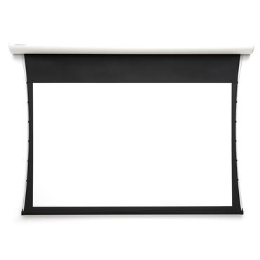 Projecta Elpro Concept RF 156x250 Matte