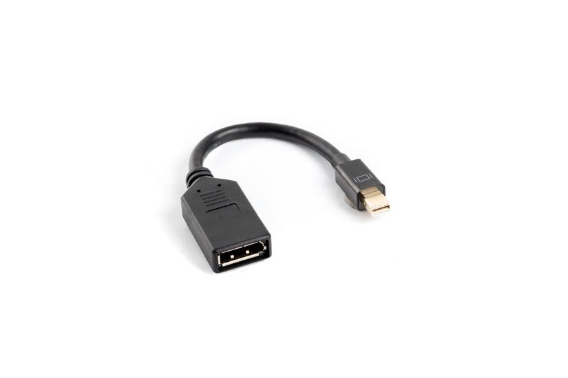 Lanberg DisplayPort-adapter - 12 cm