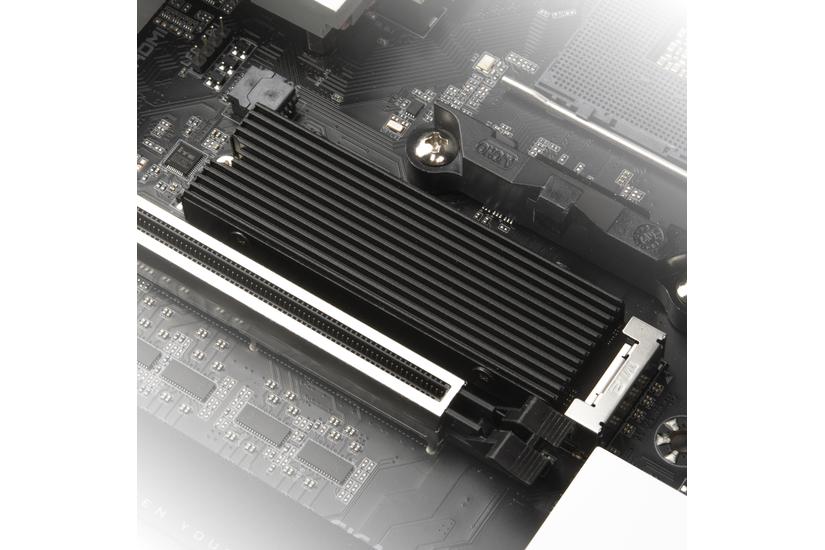 Silverstone TP05 Solid-state drev Køleplade/køler Sort 1 stk