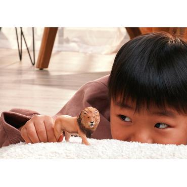 Wild Life Afrikanischer Löwe