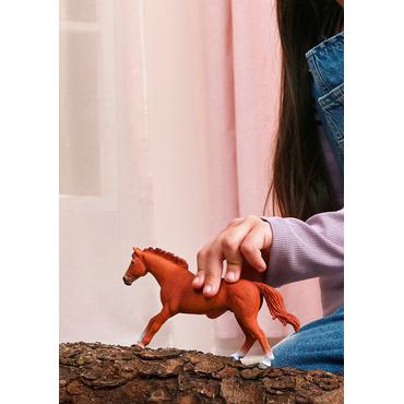 Horse Club Englisches Vollblut Hengst