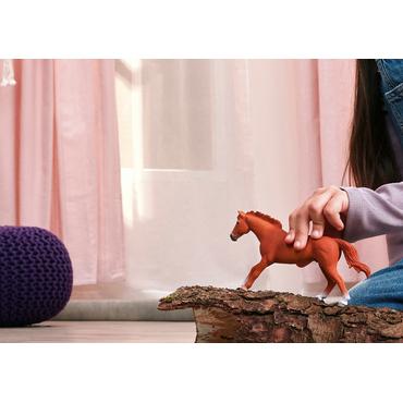 Horse Club Englisches Vollblut Hengst