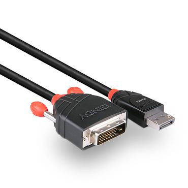 Lindy 41493 videokabel adapter 5 m DVI-D DisplayPort Sort