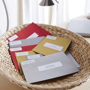 DYMO LabelWriter - etiketter med afsenderadresse - 500 etikette(r) - 25 x 54 mm