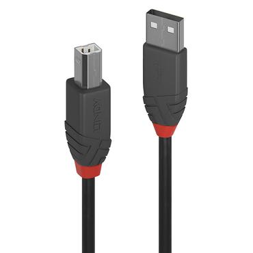 Lindy 36670 USB-kabel USB 2.0 0,2 m USB A USB B Sort, Grå