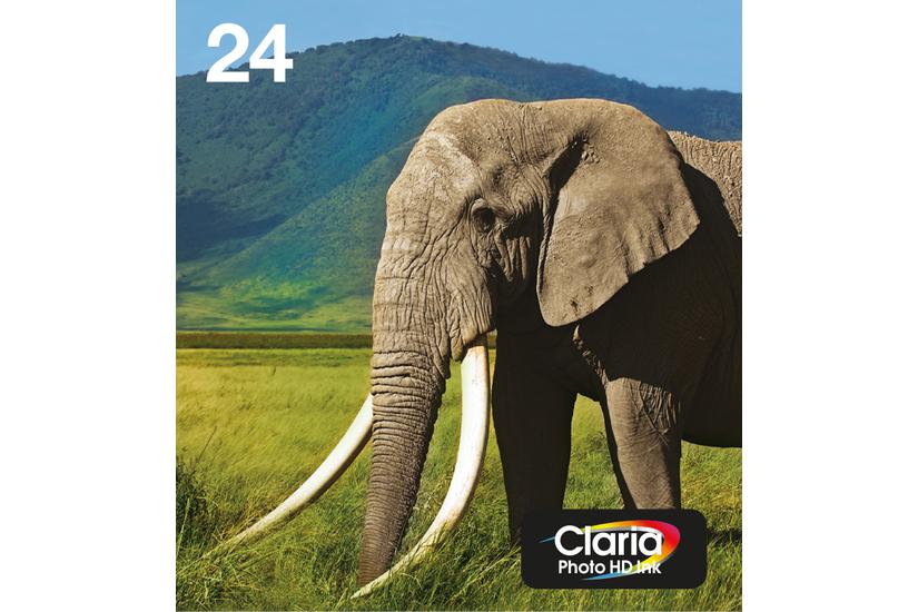 Epson 24 Multipack Easy Mail Packaging - 6-pack - svart, gul, cyan, magenta, ljus magenta, ljus cyan - original - bl&auml;ckpatron