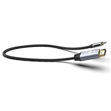INCA USB Kabel ITCD-20   Typ C > Displayport, 4K60Hz, 2m