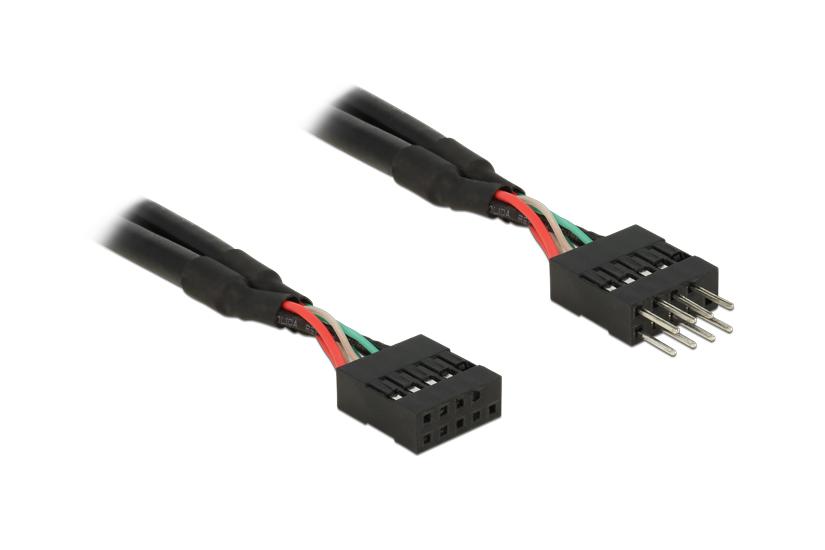 Delock USB 2.0 Pin Header - USB-internkabel - 10-stifts USB-överdel till 10-stifts USB-överdel - 25 cm