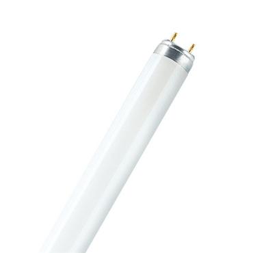 Osram LUMILUX T8 neonlampe 15 W G13 Varm hvid