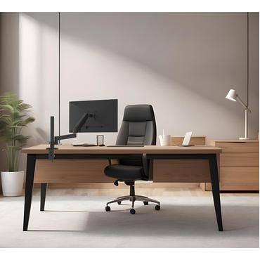 Full Motion Desk Mount