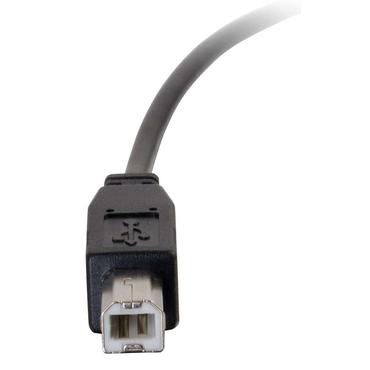 6ft USB 2.0 Type C to Standard B
