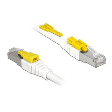 Delock Secure - patch-kabel - 5 m - vit