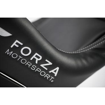 Playseat Forza Motorsport